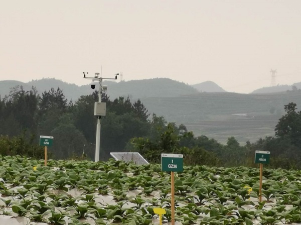 農(nóng)田小氣候觀測(cè)站圖片1